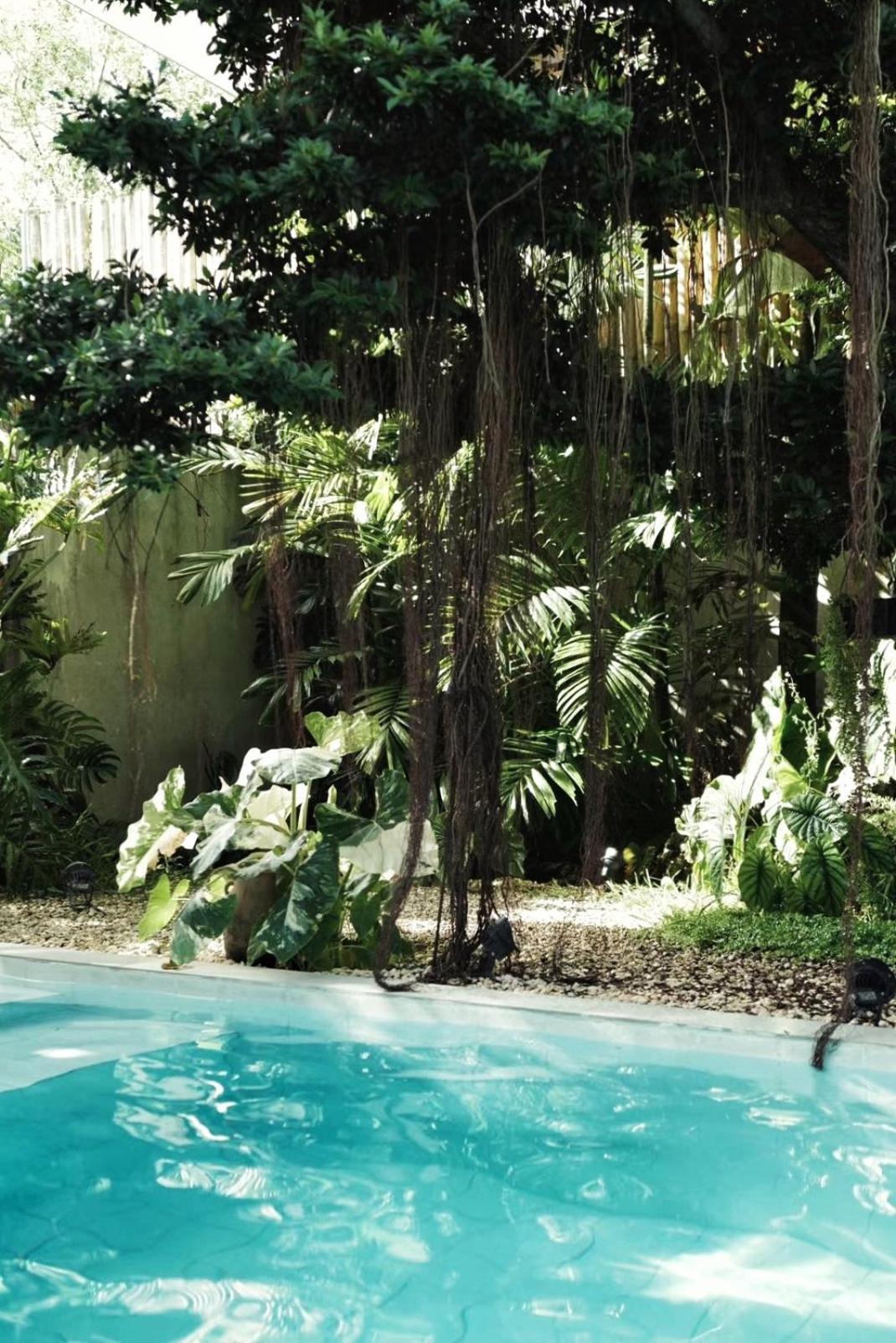 Banyan Villa Panglao With Private Pool Exterior photo
